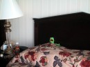 20041107-192918 Kermit resting * 1600 x 1200 * (1.19MB)